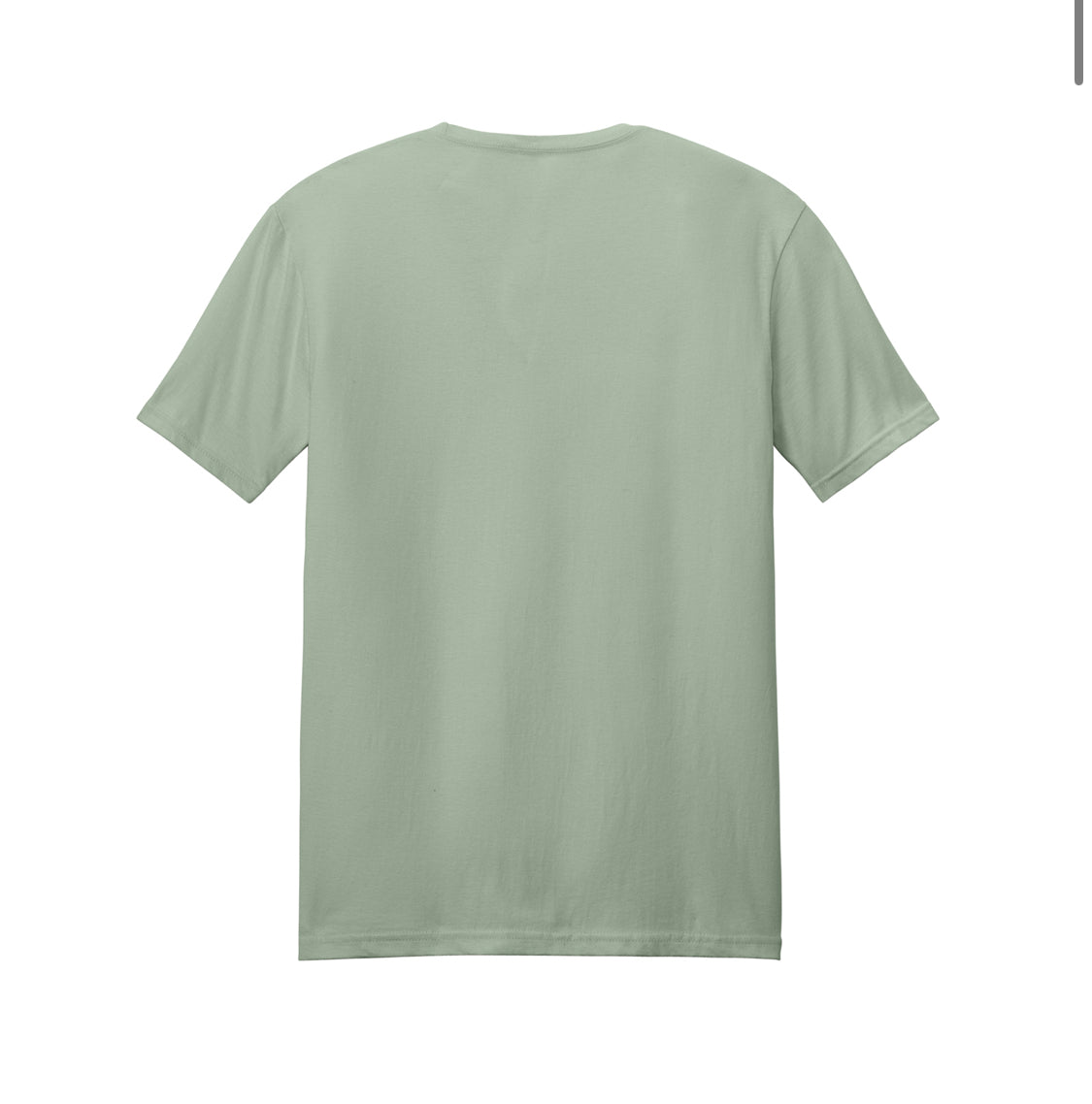 Sage Soft-style T-Shirt